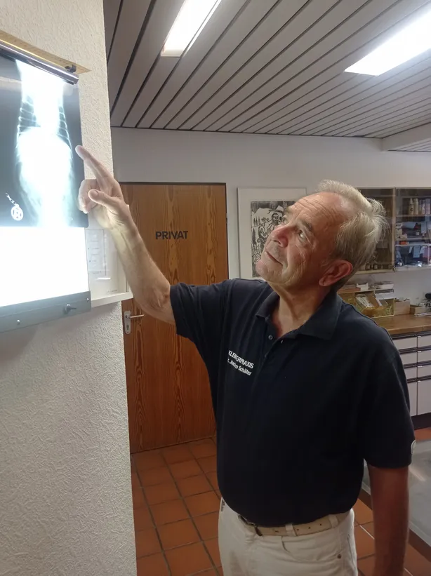 Innere Medizin in der Tierarztpraxis